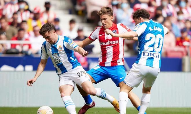 此次合作 此次合作